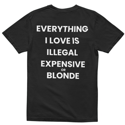EVERTHING I LIKE IS ILLEGAL, EXPENSIVE OR BLONDE